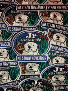 2018 NSN Patch (002)