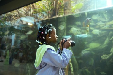 ChicagoGenl15_RS_10024 (2)