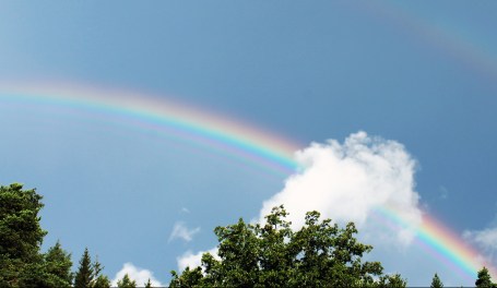 harald-arlander-1221520-unsplash